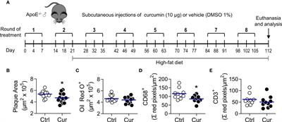 IL-10-Dependent Amelioration of Chronic Inflammatory Disease by Microdose Subcutaneous Delivery of a Prototypic Immunoregulatory Small Molecule